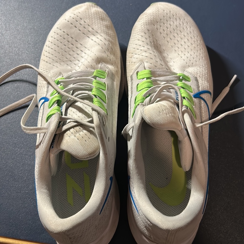 Nike Pegasus 39